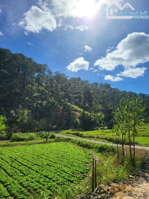 Đất XD View Thông Xanh Quốc Lộ 20, Đức Trọng. 1057m2. 400m2 XD. Giá Chỉ 7,2 Tỷ