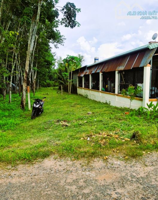 Bán lô đất Gần Chợ Thanh An , Dầu Tiếng 2280m2 giá 1tỷ250 triệu