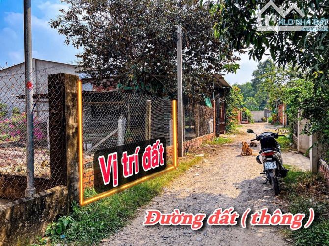 ✨ Duy Nhất 1 Lô: 5x32M (Full ONT) đường xe hơi, gần QL22B, nhà dân đông thấy ham - 379TR