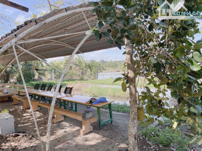 Bán Homestay 3500m2 Hoà Thắng gần đại lộ đông tây - 10