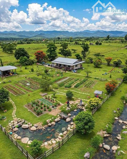 Bán đất trang trại ,nghỉ dưỡng tại Đông Anh ,Hà Nội 6500m ,giá hợp lý - 4