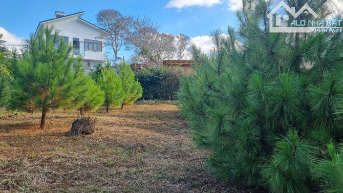 Bán Homestay 3500m2 Hoà Thắng gần đại lộ đông tây - 1