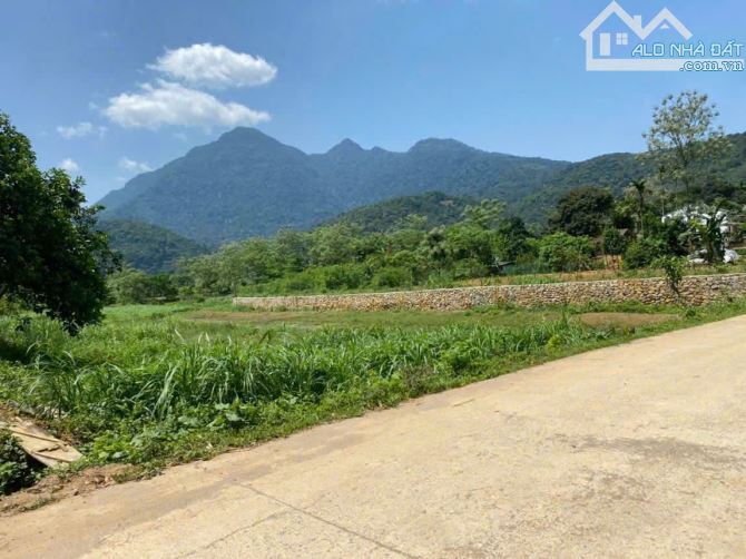 Đất rẻ xã Vân Hòa, gần Yên Bài và Vườn Quốc gia Ba Vì, 579m, view đẹp, lô góc, chỉ 4.23tỷ - 1