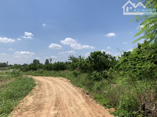 Bán 1.585m đất CLN xã Xuân Đông, Cẩm Mỹ, Đồng Nai - 1