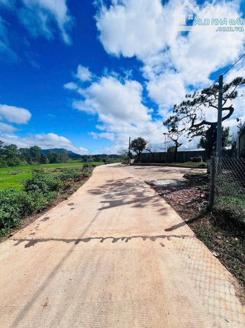 ĐẤT view ruộng trung tâm thành phố - 1