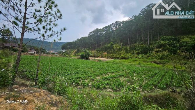 Đất XD View Thông Xanh Quốc Lộ 20, Đức Trọng. 1057m2. 400m2 XD. Giá Chỉ 7,2 Tỷ - 1