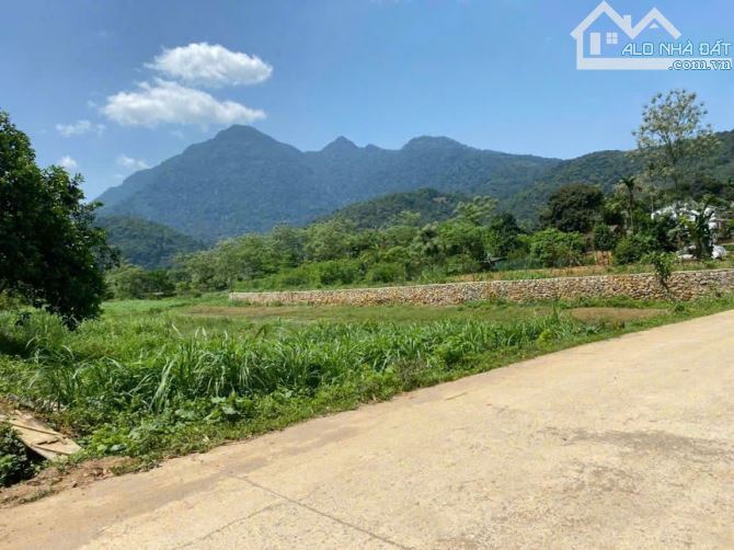 Bán đất đẹp rẻ xã Vân Hòa, gần Yên Bài Ba Vì, 1079m, oto, view thoáng, 2 mặt đường, 4.63tỷ - 1