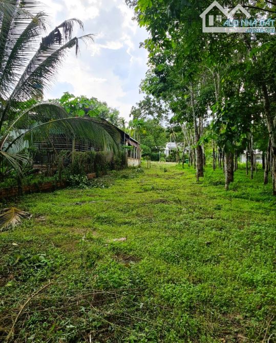 Bán lô đất Gần Chợ Thanh An , Dầu Tiếng 2280m2 giá 1tỷ250 triệu - 1