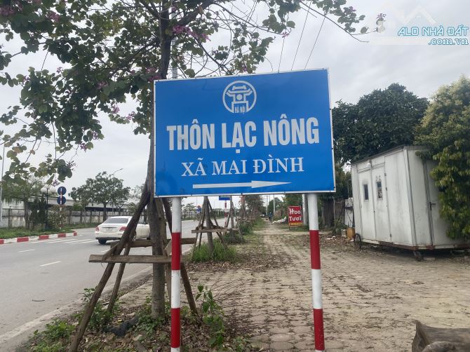 Đất mới ra lò 115.5 full thổ cư ngõ thông các ngả ô tô vào đất tại Lạc Nông, Mai Đình - 1