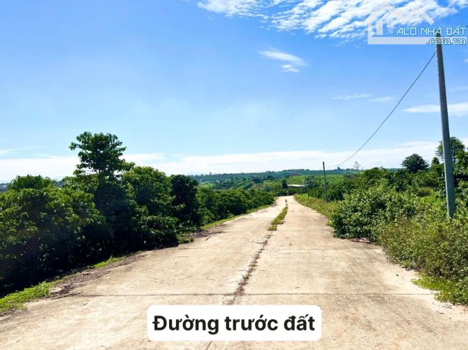 ✨ 508m2 (200m2 ONT) 19M Mặt đường Bê Tông. Xung quanh nhiều home khai thác du lịch - 869TR - 1