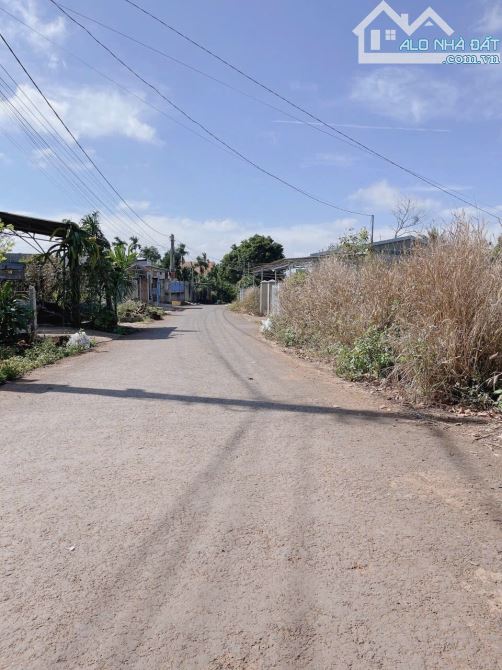 Bán Homestay 3500m2 Hoà Thắng gần đại lộ đông tây - 12
