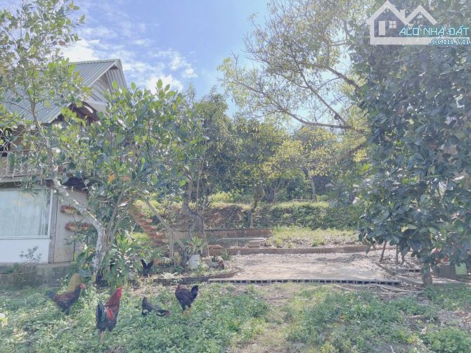 Bán Homestay 3500m2 Hoà Thắng gần đại lộ đông tây - 13