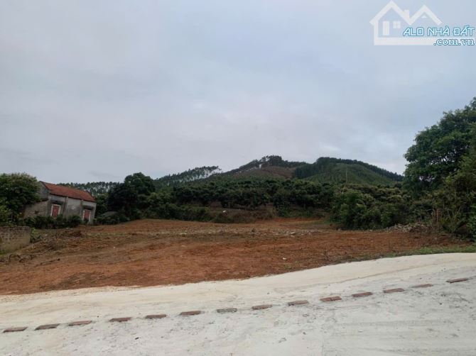 Bán đất vườn tại Vô Tranh Lục Nam Bắc Giang DT 1,381m2 có 400m thổ cư giá chỉ 1,3tỷ - 2