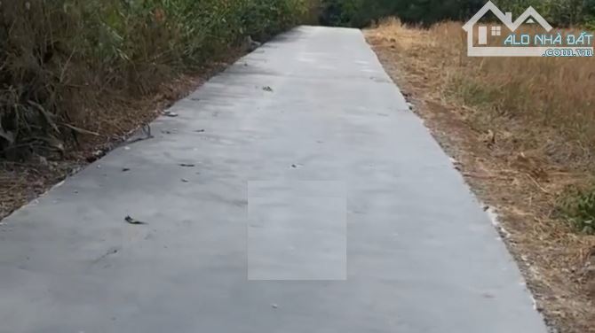 Bán 1.176m (100tc) xã Xuân Tây, Cẩm Mỹ, Đồng Nai - 2