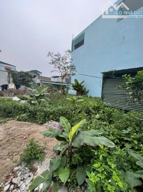 Cần tiền gấp chủ gửi bán nhanh lô đất tại xã Duyên Hà - Thanh Trì - Hà Nội - 2