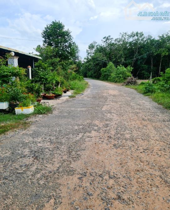 Bán lô đất Gần Chợ Thanh An , Dầu Tiếng 2280m2 giá 1tỷ250 triệu - 2