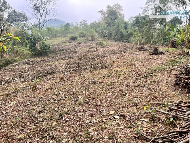 3078m Có 200m Đất Ở, 758m CLN, Kèm 2100m RSX - View Cánh Đồng - 2
