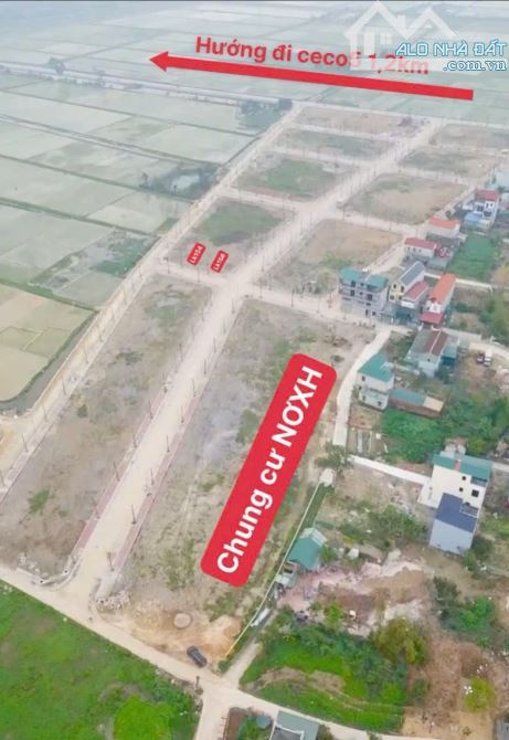 Hiếm! Đất Đấu Giá Đỗ Động bám trục cienco5 kinh doanh đỉnh - 2