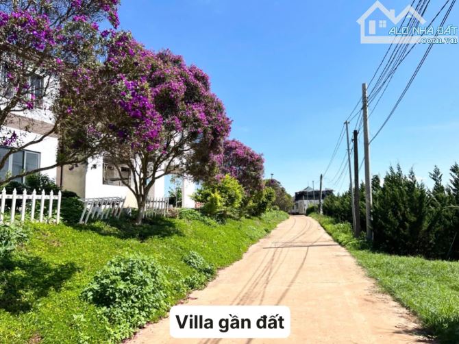 ✨ 508m2 (200m2 ONT) 19M Mặt đường Bê Tông. Xung quanh nhiều home khai thác du lịch - 869TR - 2