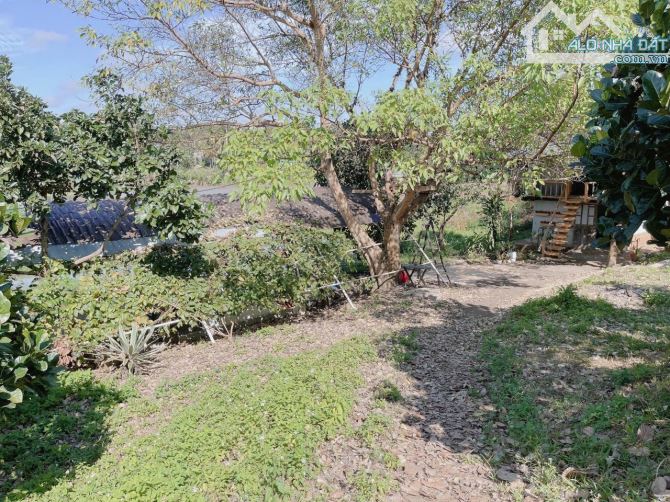Bán Homestay 3500m2 Hoà Thắng gần đại lộ đông tây - 3
