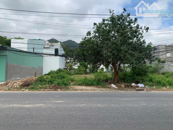 Bán 2 lô đất mặt tiền đường phong châu rộng 22,5 m tại khu tái định cư đất lành - 3
