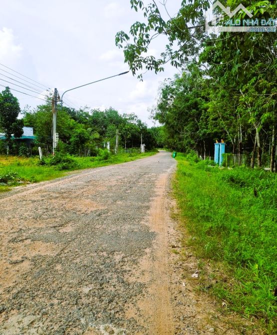 Bán lô đất Gần Chợ Thanh An , Dầu Tiếng 2280m2 giá 1tỷ250 triệu - 3