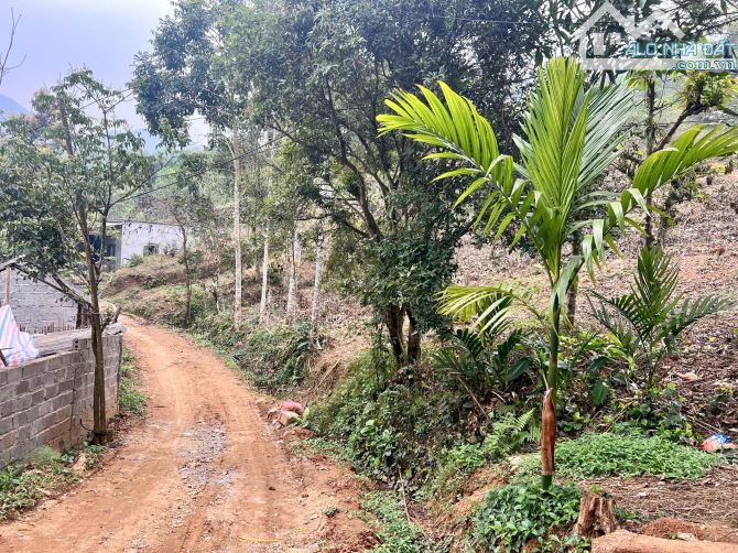 3000m Có 200m Đất Ở, 300m CLN, Kèm 2100m RSX - View Cánh Đồng - 3