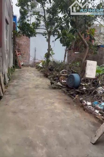Bán đất ngõ 270 Đồng Hoà, Kiến An - 3