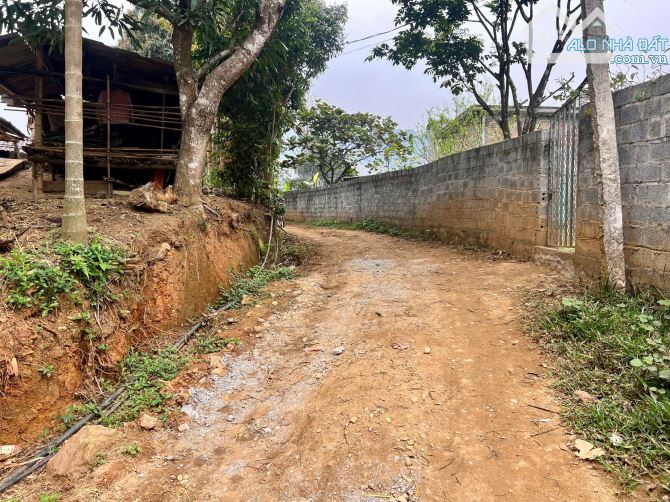 3078m Có 200m Đất Ở, 758m CLN, Kèm 2100m RSX - View Cánh Đồng - 4