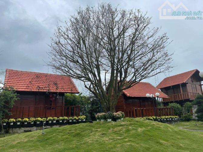 Bán nhà vườn vui vẻ xã hòa phú, 4000m2 có 800m2 đất ở - 5