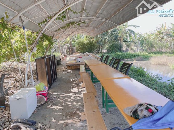 Bán Homestay 3500m2 Hoà Thắng gần đại lộ đông tây - 7