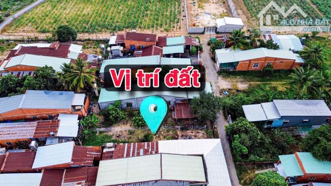 ✨ Duy Nhất 1 Lô: 5x32M (Full ONT) đường xe hơi, gần QL22B, nhà dân đông thấy ham - 379TR - 7