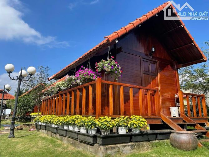 Bán nhà vườn vui vẻ xã hòa phú, 4000m2 có 800m2 đất ở - 8