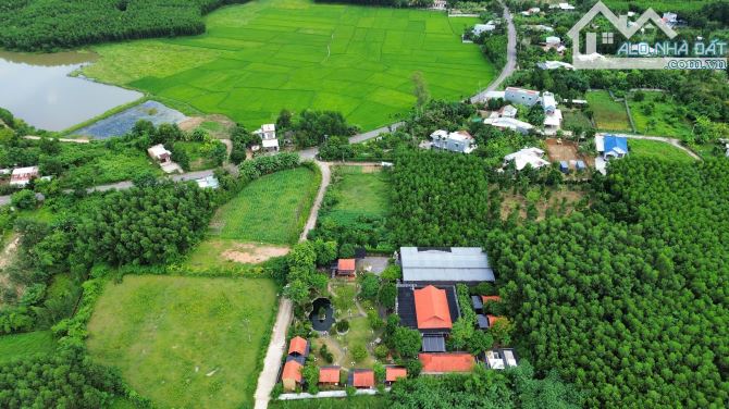 Bán nhà vườn vui vẻ xã hòa phú, 4000m2 có 800m2 đất ở - 9