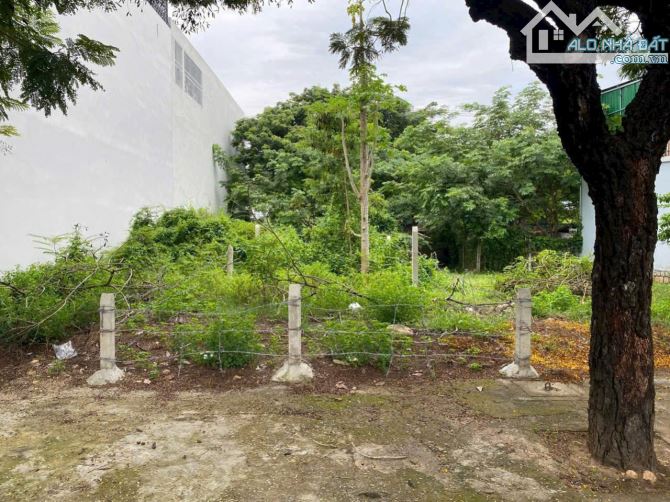 💥Bán lô đất sạch đẹp Tái đinh cư Đất Lành đường 13m gần Phong Châu📌 - - Diện tích: 62m2