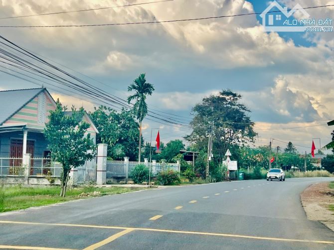 Đất Bình Dương 10 x 50 thổ cư 200m, chỉ cần 700 củ  sở hữu 500m2 Mt nhựa 32m