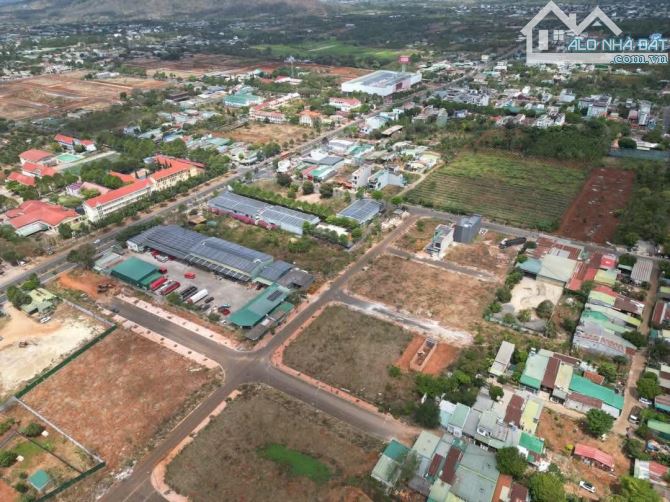 Đất đấu giá Thủ Khoa Huân ngay siêu thị BigC