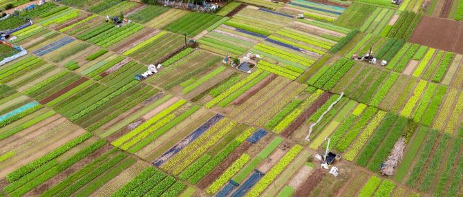 Bán lô đất 100m khu vực làng rau Trà Quế nổi tiếng của Hội An