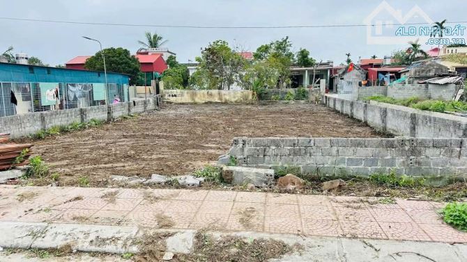 Bán đất Xuân La - Thanh Sơn - Kiến Thụy - Hải Phòng - 1