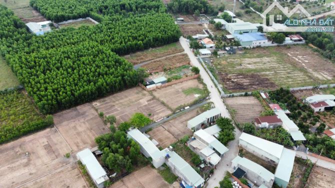 Đất vườn 600m2 gần trục 16, cách ngã 4 Tân Phong 10p di chuyển. - 1