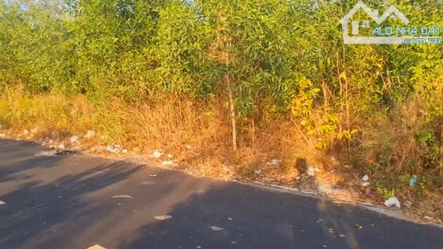 Cần bán gấp lô đất đẹp, đường nhựa, phường Tân Hòa, tp Phú Mỹ, Bà Rịa Vũng Tàu - 1