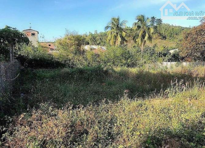Bán đất nguyễn trường tộ giá tốt - 1