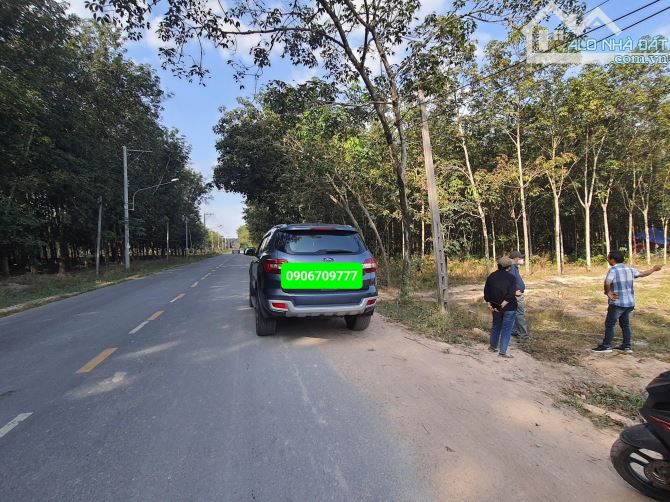 Bán đất đường DH619 - Bàu Bàng. DT 8600m2 - 1