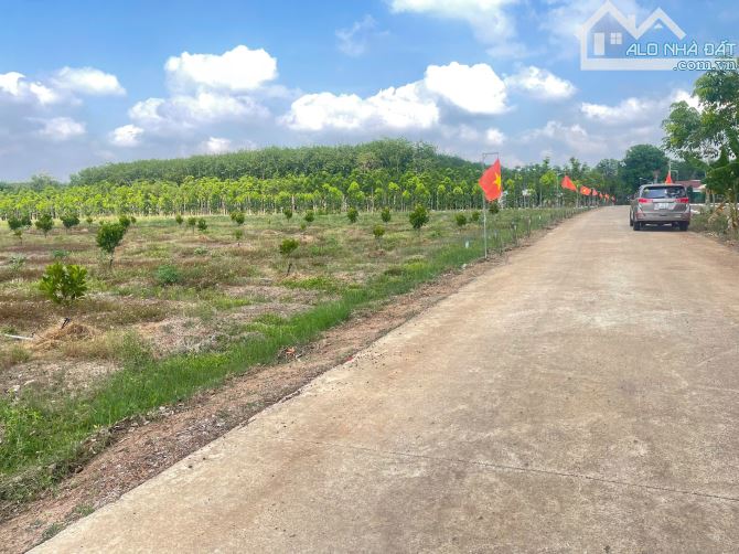 đất nền đô thị đầu tư thấp lợi nhuận cao dễ thanh khoản - 1