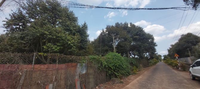 Bán đất vườn sầu riêng 2 mặt tiền tại Xuân Lộc, Đồng Nai - 1