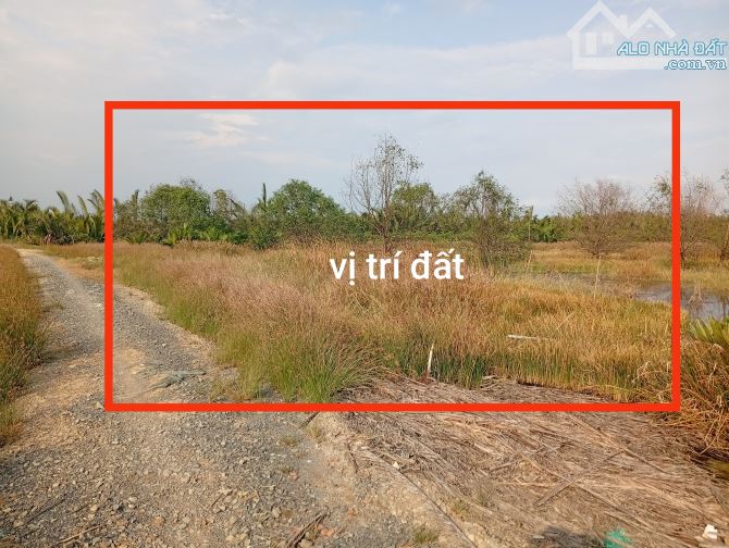 Cần bán đất DT 3100m xã Bình Khánh cần giờ, cách đường bà xán700m sổ hồng riêng, - 2