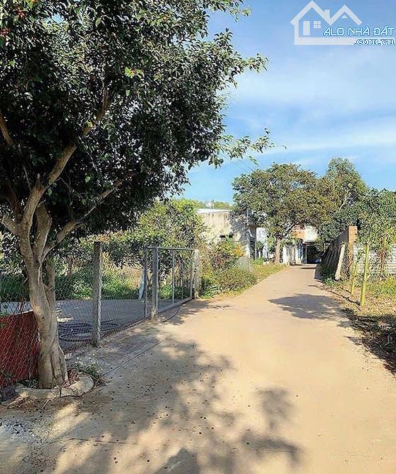 Bán đất nguyễn trường tộ giá tốt - 2