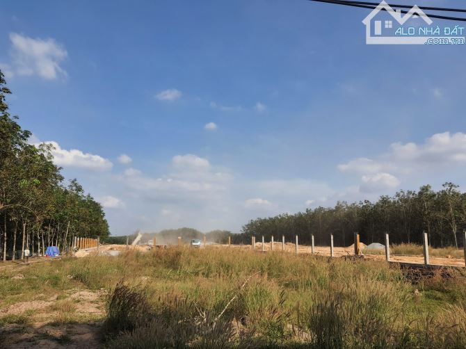 Bán đất đường DH619 - Bàu Bàng. DT 8600m2 - 2