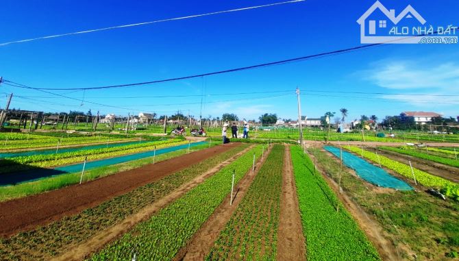 Bán lô đất 100m khu vực làng rau Trà Quế nổi tiếng của Hội An - 2
