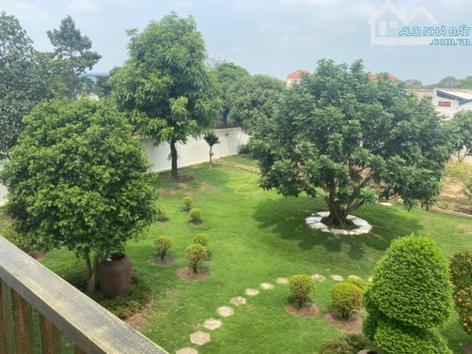 BIỆT THỰ SÂN VƯỜN ĐƯỜNG TÔ KÍ 25X70 ĐƯỜNG LỚN FULL NỘI THẤT SANG TRỌNG LỊCH LÃM - 3